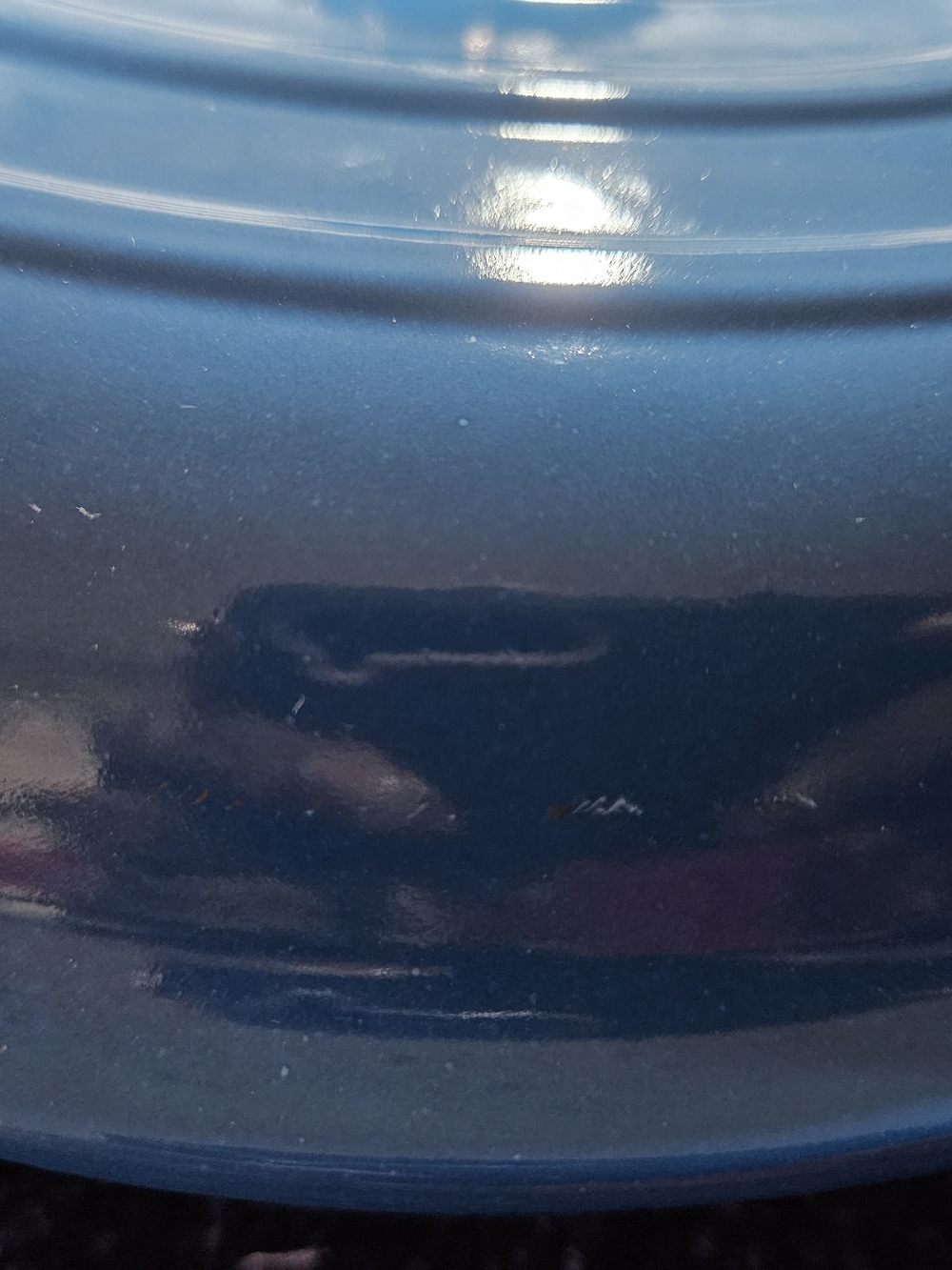 3.5qt Le Creuset Marseille Enameled Cast Iron Braiser - Picture 5 of 16